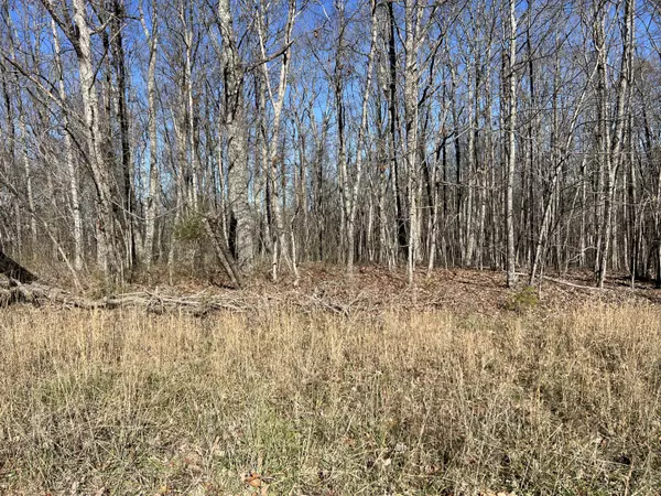 Pikeville, TN 37367,0 Fern Hill RD