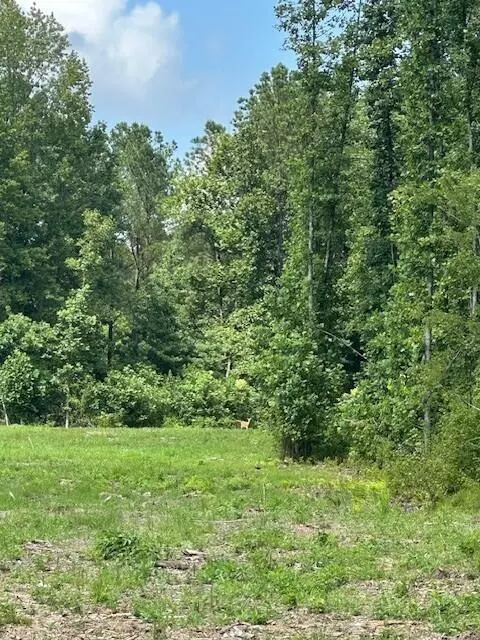 Tracy City, TN 37387,Tract 11 Dykes Hollow