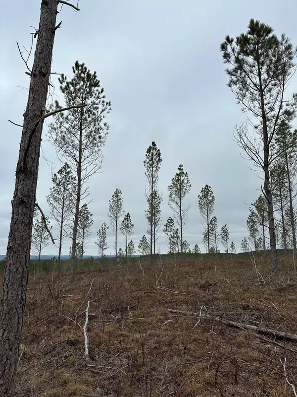 Crossville, TN 38572,Tract 28 Thomas Springs Road