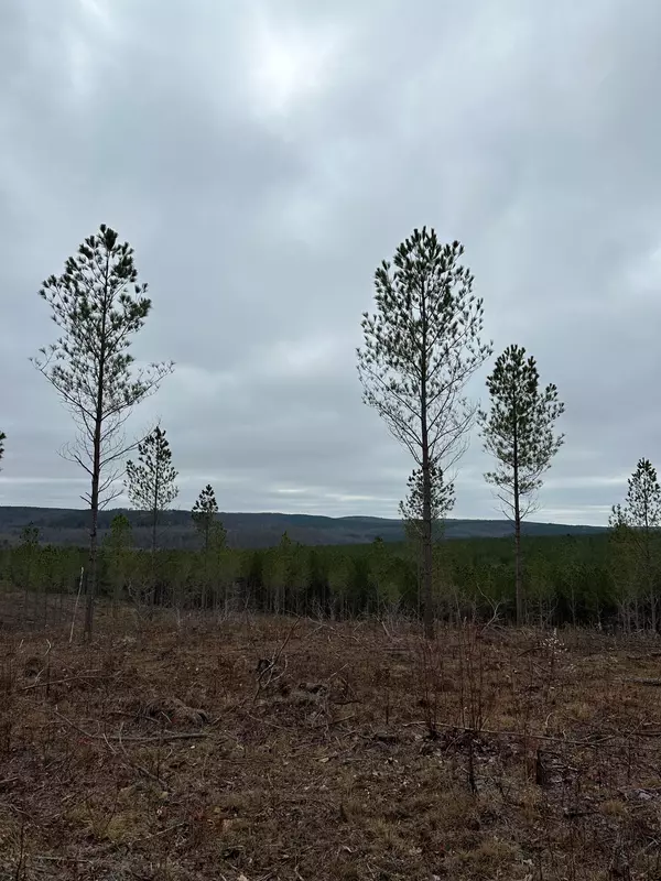 Tract 28 Thomas Springs Road, Crossville, TN 38572