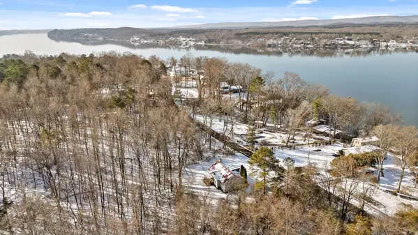 Birchwood, TN 37308,14319 Bluffview DR