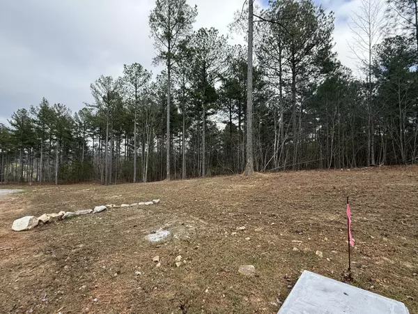 Guild, TN 37340,0 Farm Road #1051