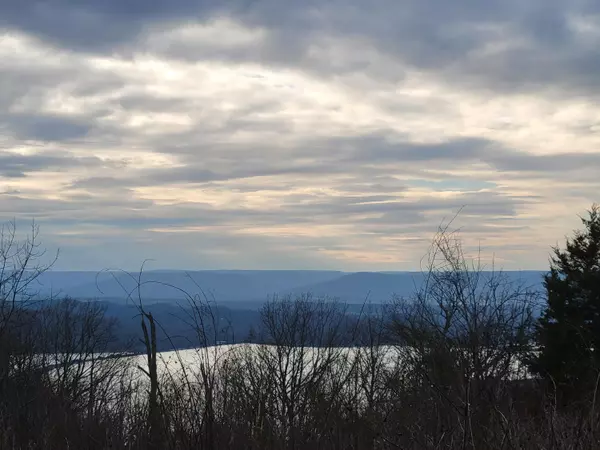 7 Pinnacle Point DR,  South Pittsburg,  TN 37380