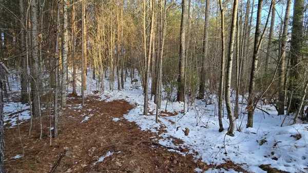Graysville, TN 37338,812 Eagle Ridge RD