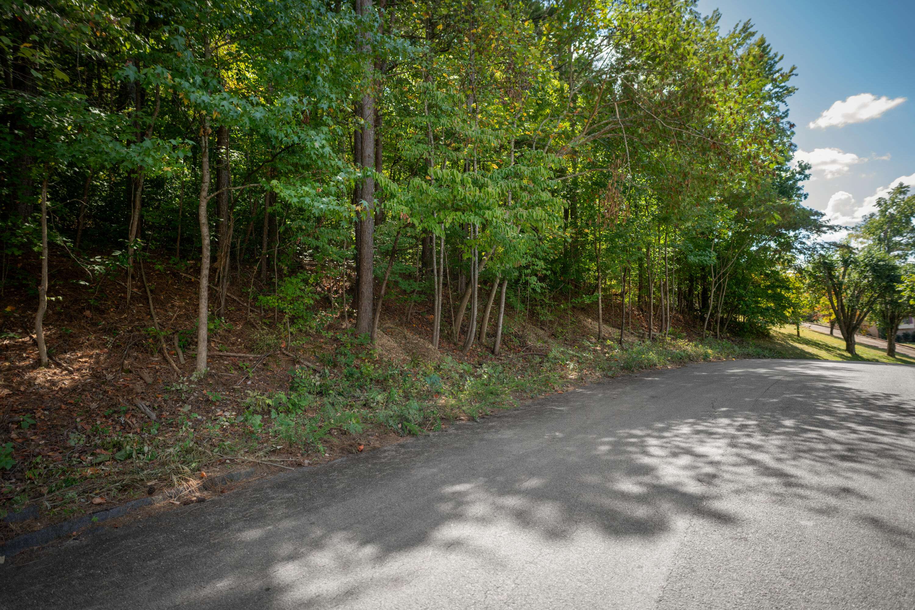 1718 Spring View LN, Chattanooga, TN 37421