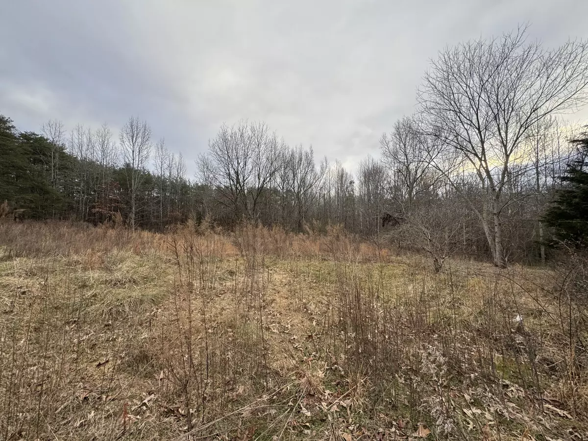 Higdon, AL 35979,786 County Road 811