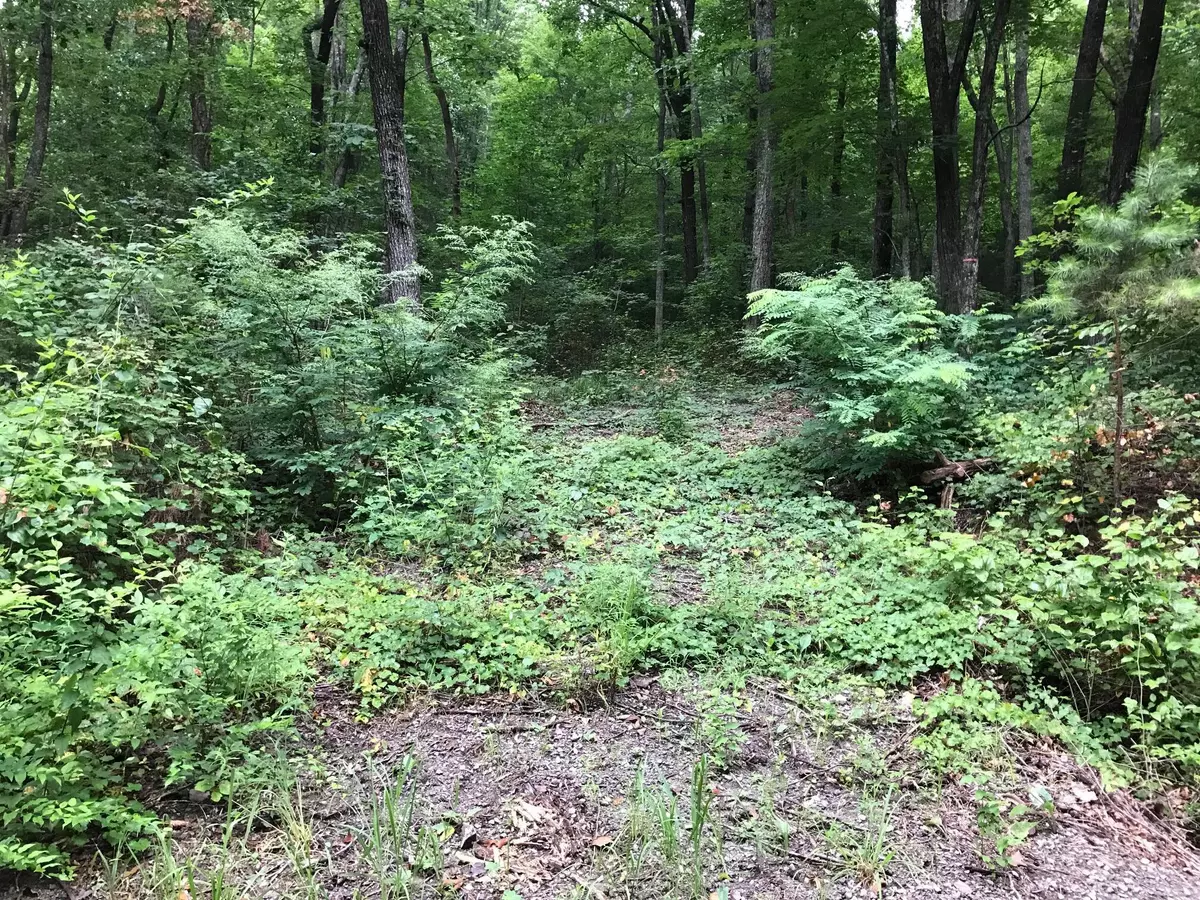 Dunlap, TN 37327,1 Smith Mountain RD