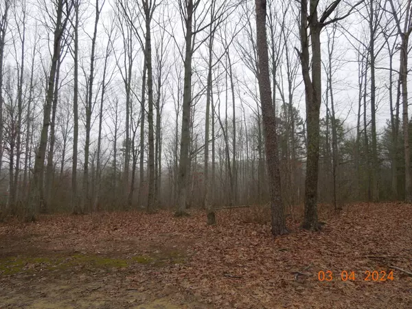 Sequatchie, TN 37374,966 Cox RD