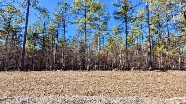 0 Buck Crossing DR, Guild, TN 37340