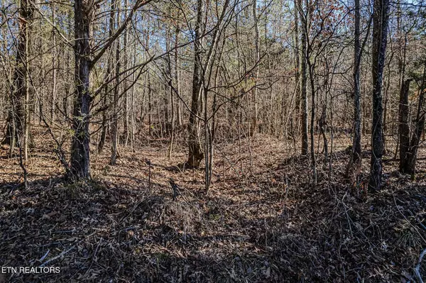 Decatur, TN 37322,5 Acres Nopone Valley RD