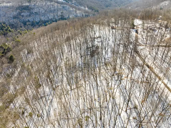 Dunlap, TN 37327,Lot 245 Ski View DR