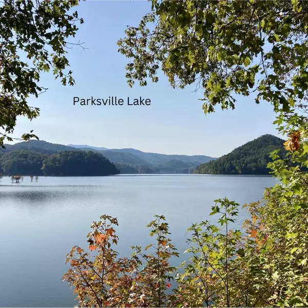 Ocoee, TN 37361,1461 Sloan Gap Rd