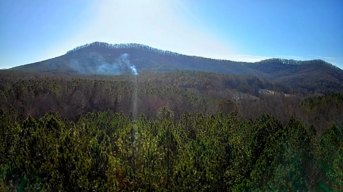 Ellijay, GA 30536,0 Black Bear Ridge RD