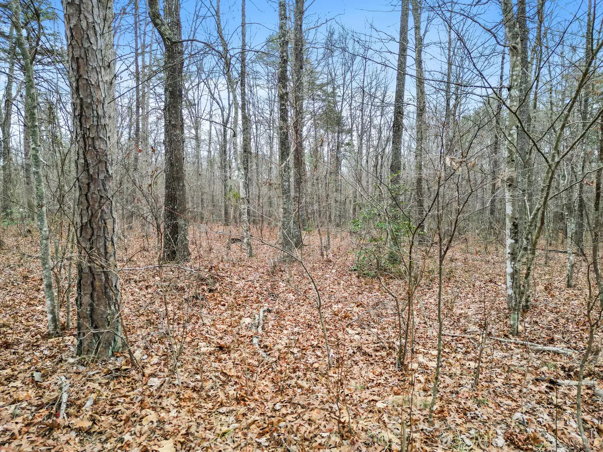 Dunlap, TN 37327,00 Mtn Place RD