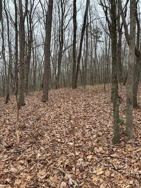 Signal Mountain, TN 37377,0 Clear Brooks DR