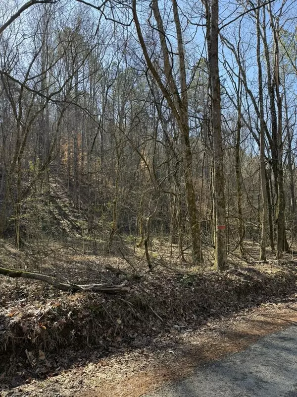Decatur, TN 37322,0 Wilson Hollow RD