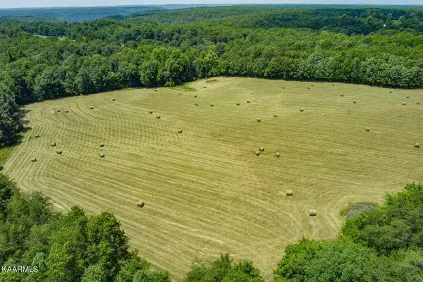 Grimsley, TN 38565,184 Old Wilder RD