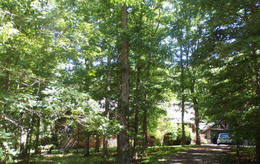 1045 Sweetens Cove RD, South Pittsburg, TN 37380