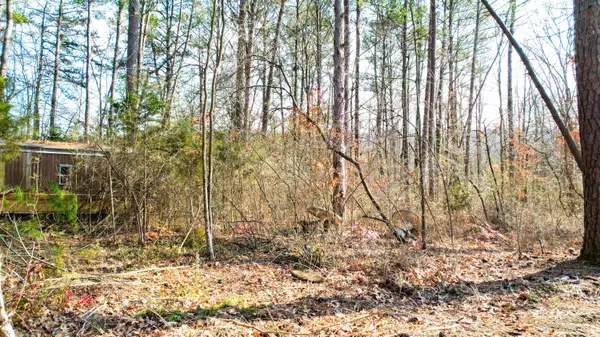 Rossville, GA 30741,375 Neal DR