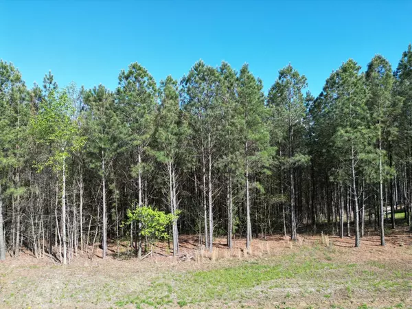 Jasper, TN 37347,3261 Crockett PT