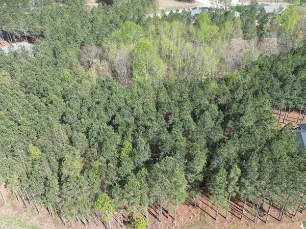 Jasper, TN 37347,3261 Crockett PT