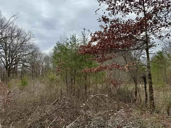 Monteagle, TN 37356,0 Monteagle Falls RD