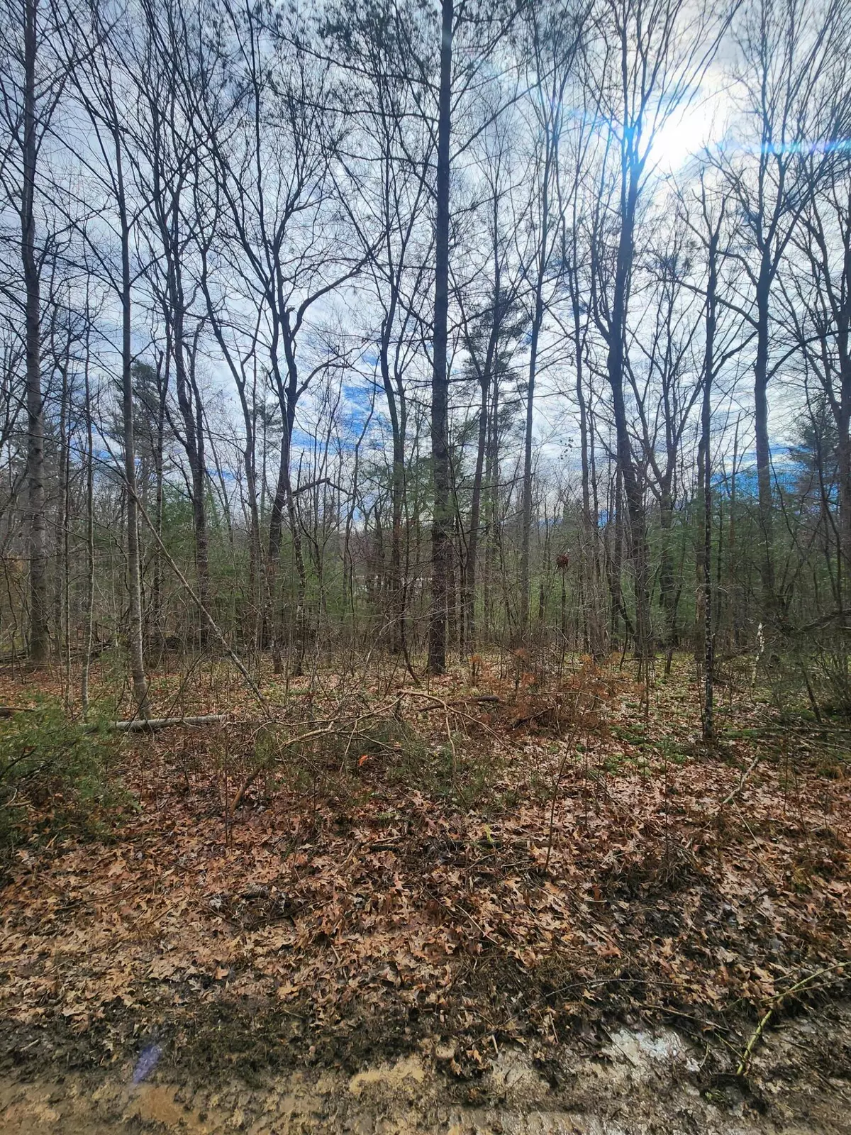 Crossville, TN 38571,0 Brown Creek DR