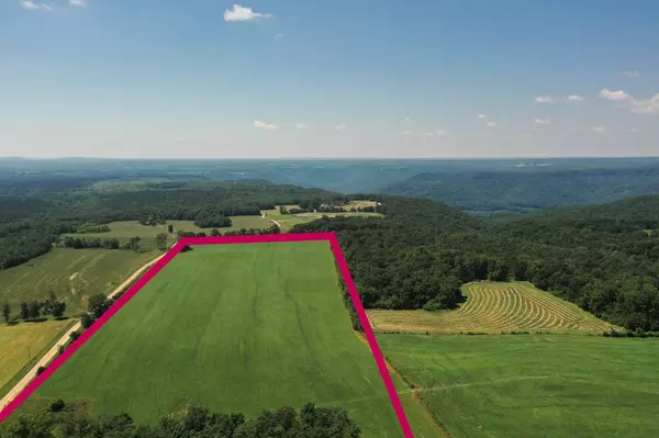 Bryant, AL 35958,40 Ac County Road 131