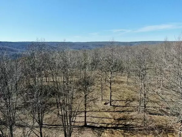 Dunlap, TN 37327,0 Hobbstown RD