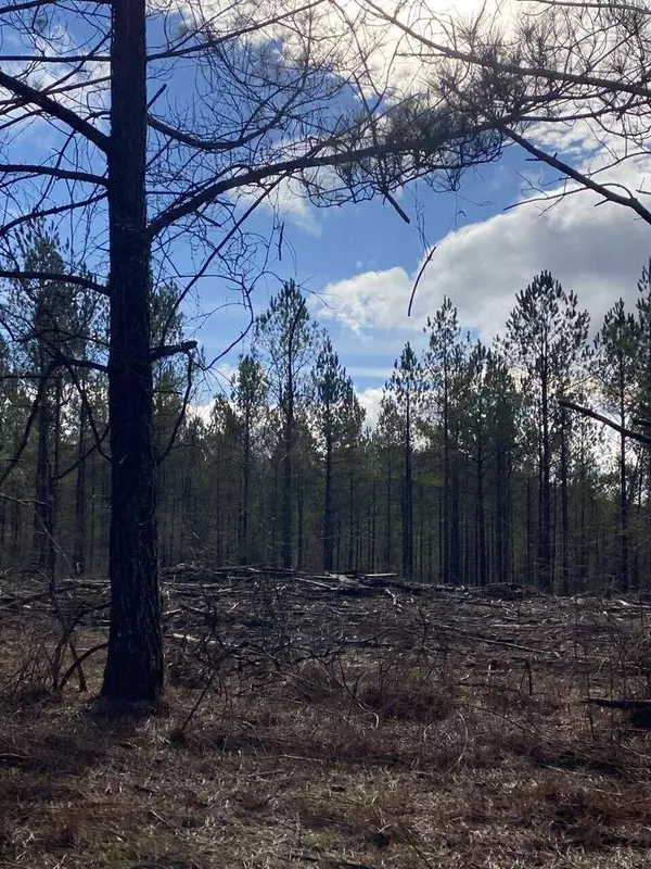 Crossville, TN 38572,Lot 5 Thomas Springs Road