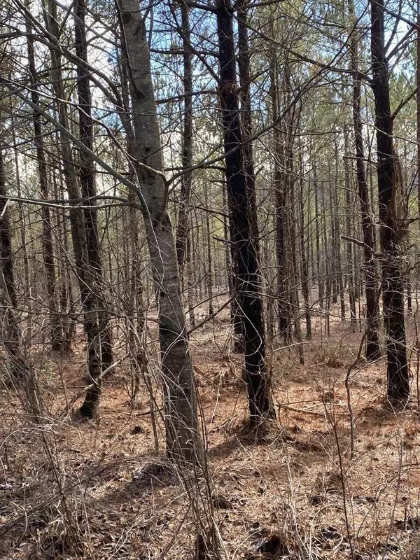 Lot 5 Thomas Springs Road, Crossville, TN 38572