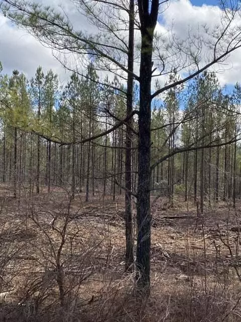 Crossville, TN 38572,Lot 7 Thomas Springs Road