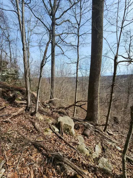 0 Gap RD, Altamont, TN 37301
