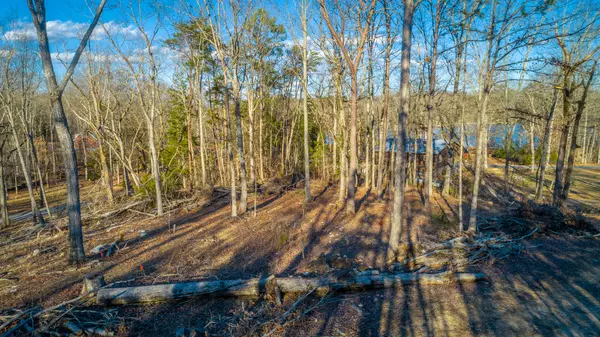 0 Beach RD, Spring City, TN 37381