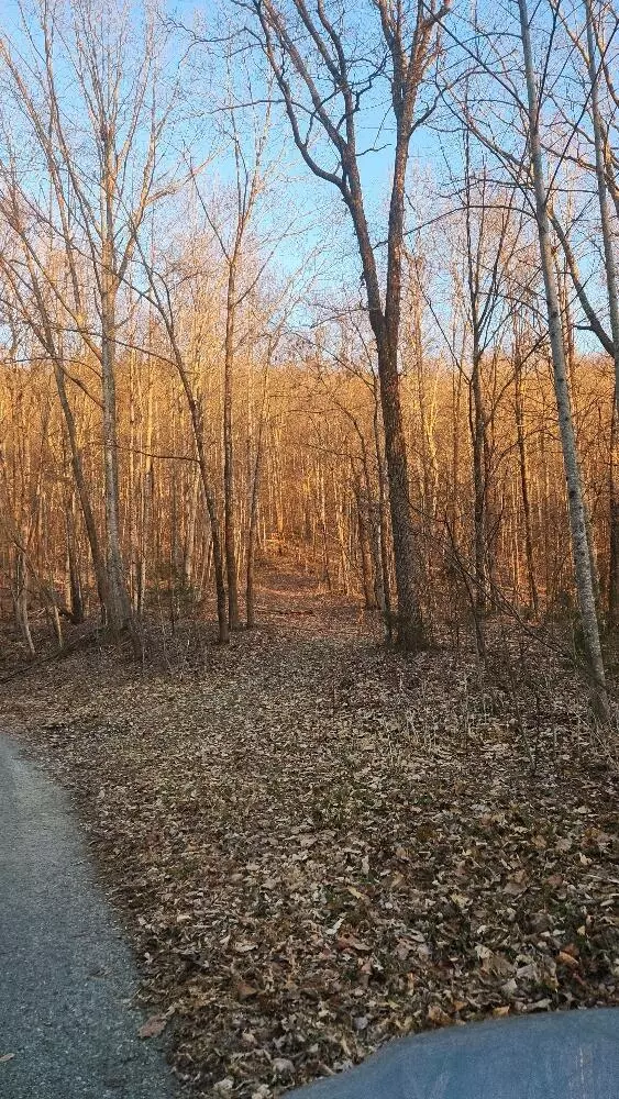 Pikeville, TN 37367,16.39 L Swafford