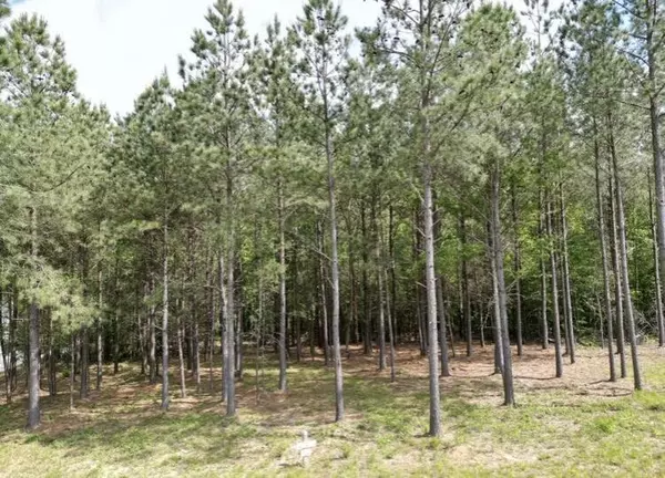 Jasper, TN 37347,5140 Crockett PT