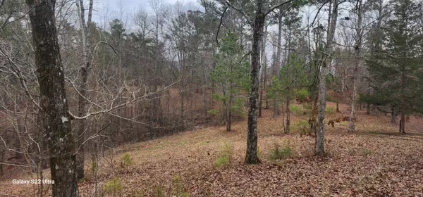 Crandall, GA 30711,Landlot 19 Highway 411