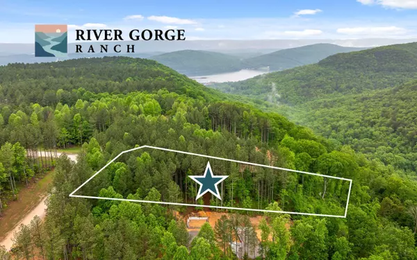 Lot 1060 Birds Eye WAY, Guild, TN 37340