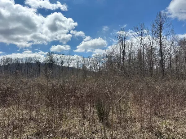 Beersheba Springs, TN 37305,126 Northcutts Cove Road
