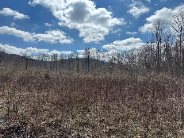 Beersheba Springs, TN 37305,126 Northcutts Cove Road