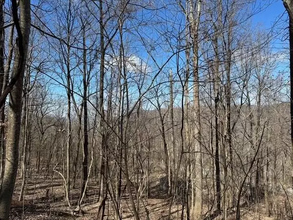 Morrison, TN 37357,176 Sr 108