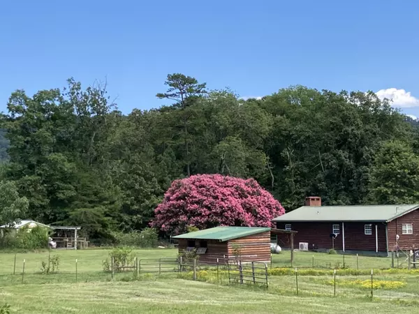 Trion, GA 30753,1570 Halls Valley RD