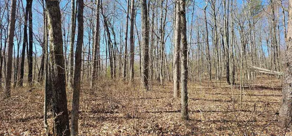 Dunlap, TN 37327,0 Bluff View Dr