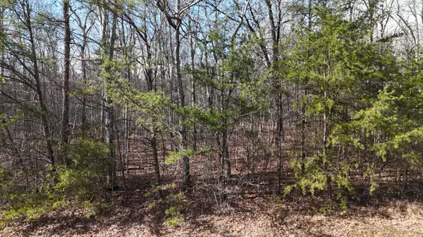 Pikeville, TN 37367,0 Mountain Laurel RD