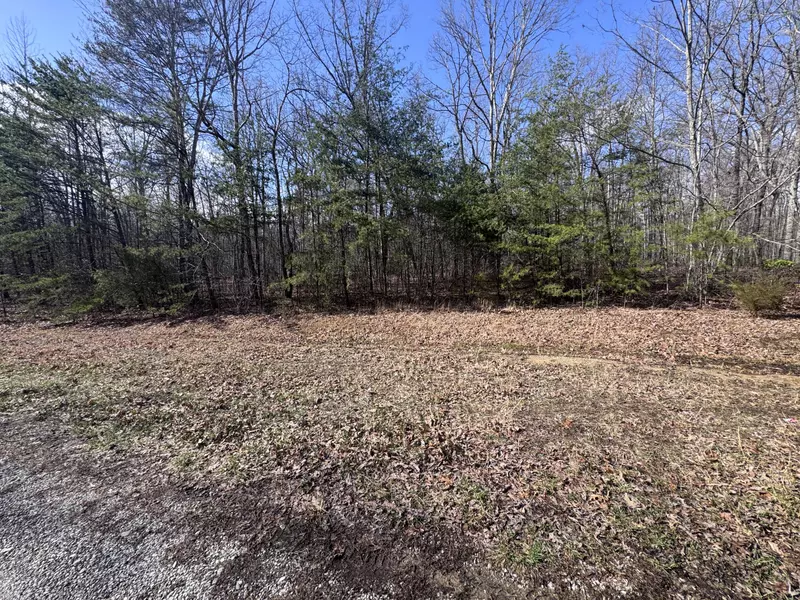 0 Mountain Laurel RD, Pikeville, TN 37367