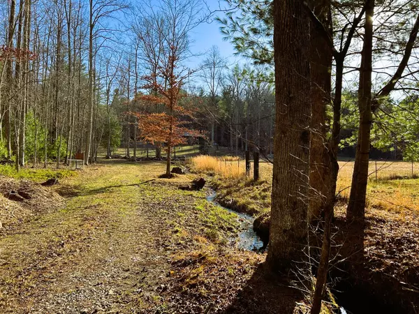 Reliance, TN 37369,00 Bullet Creek RD