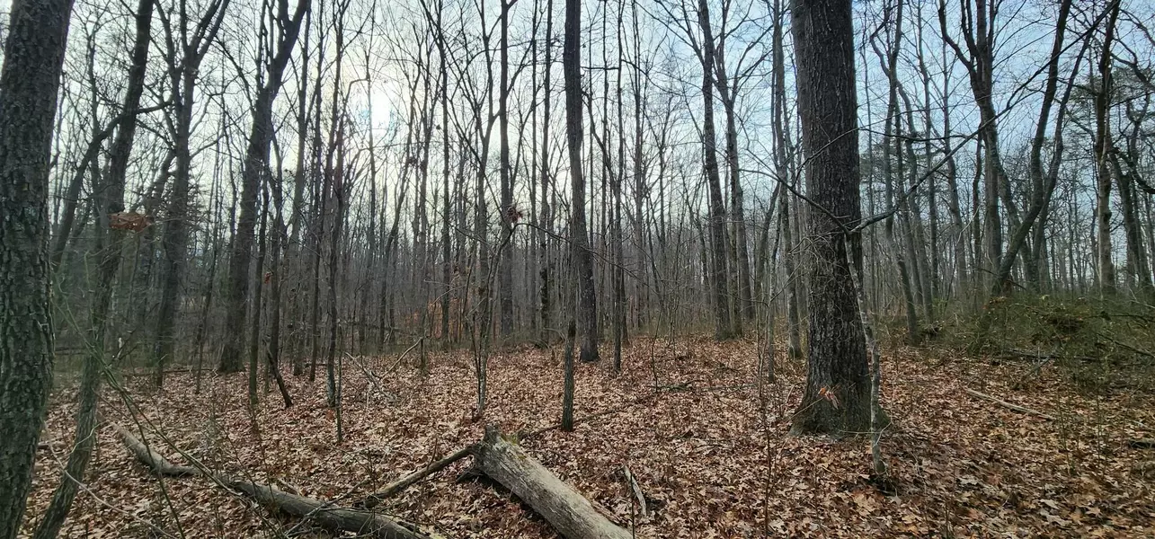 0 Hickory Hollow Sub RD, Tracy City, TN 37387