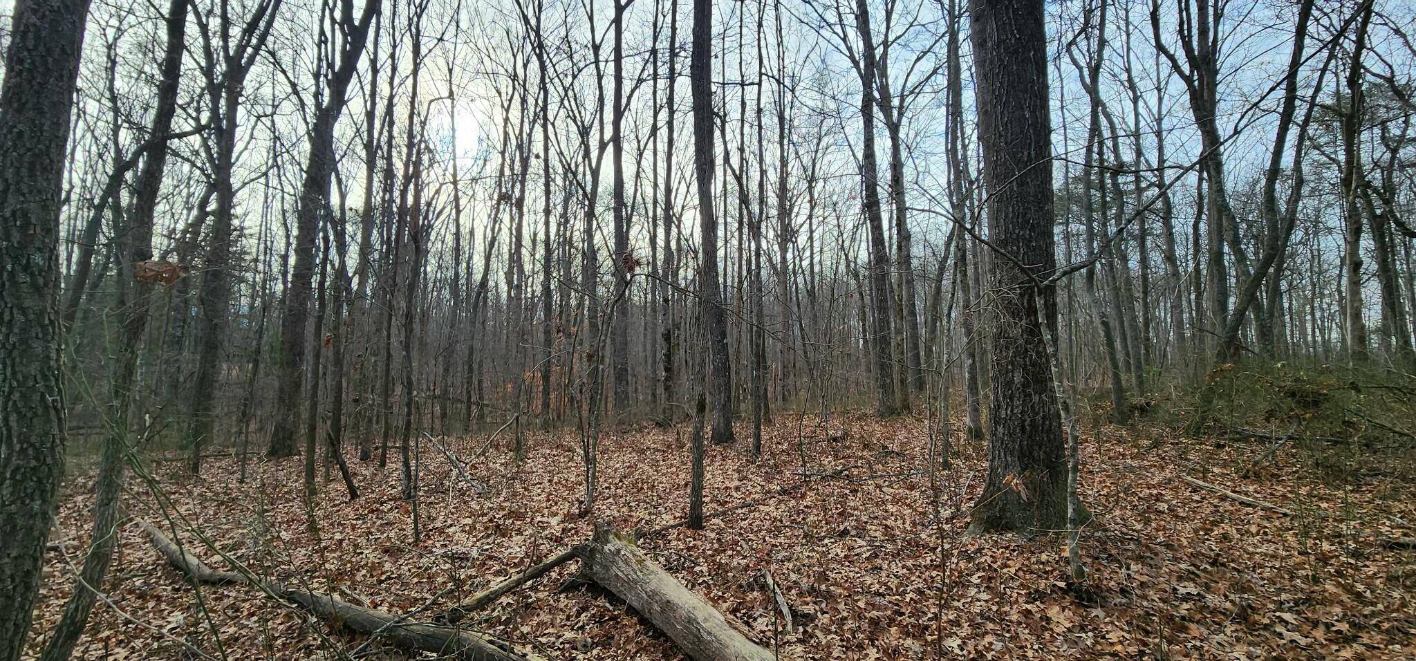 0 Hickory Hollow Sub RD, Tracy City, TN 37387