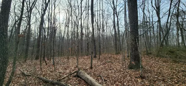 0 Hickory Hollow Sub RD, Tracy City, TN 37387