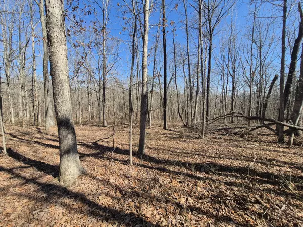 South Pittsburg, TN 37380,Lot 61 Teludachee TRL
